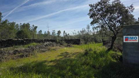 Quintinha em Benquerenças a 10 minutos de Castelo Branco