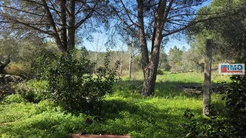 Quintinha em Benquerenças a 10 minutos de Castelo Branco