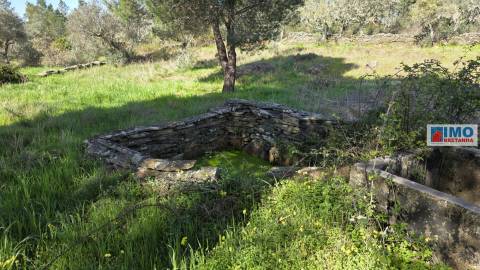 Quintinha em Benquerenças a 10 minutos de Castelo Branco