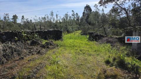 Quintinha em Benquerenças a 10 minutos de Castelo Branco