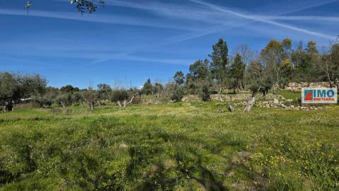 Quinta com 3500m2 em Póvoa de Rio de Moinhos