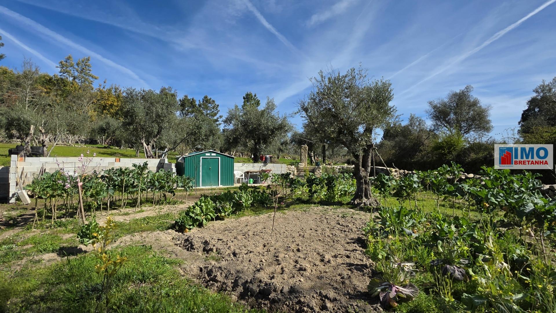 Quinta com 3500m2 em Póvoa de Rio de Moinhos