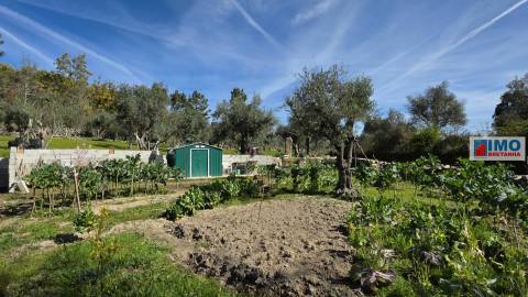 Quinta com 3500m2 em Póvoa de Rio de Moinhos