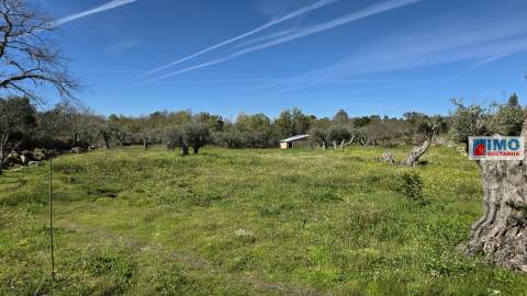 Quinta com 3500m2 em Póvoa de Rio de Moinhos