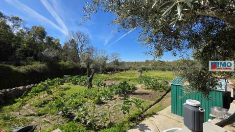 Quinta com 3500m2 em Póvoa de Rio de Moinhos