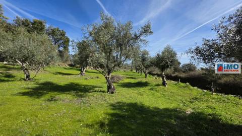 Quinta com 3500m2 em Póvoa de Rio de Moinhos