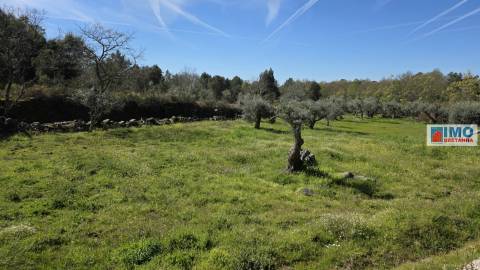 Quinta com 3500m2 em Póvoa de Rio de Moinhos