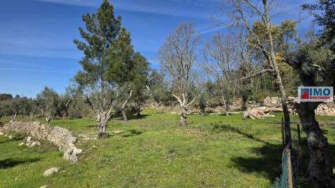 Quinta com 3500m2 em Póvoa de Rio de Moinhos