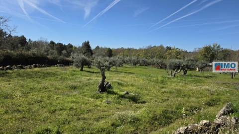 Quinta com 3500m2 em Póvoa de Rio de Moinhos