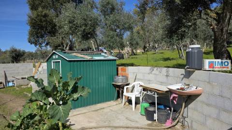 Quinta com 3500m2 em Póvoa de Rio de Moinhos