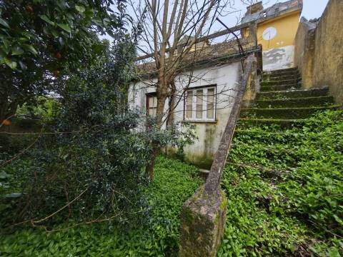 Moradia Senhorial V8 - Centro Histórico da Lousã