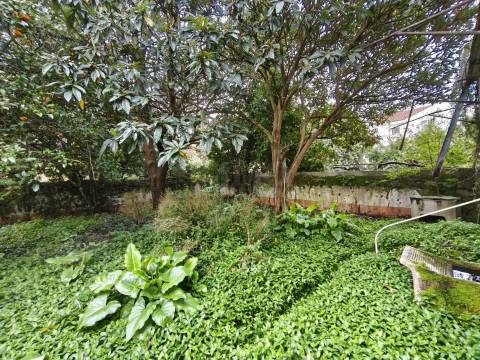 Moradia Senhorial V8 - Centro Histórico da Lousã