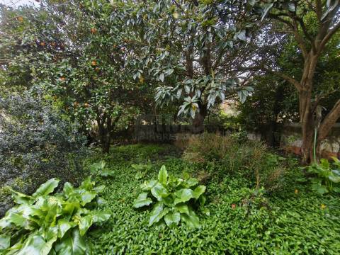 Moradia Senhorial V8 - Centro Histórico da Lousã