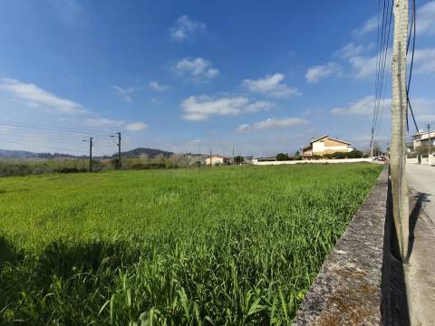 Terreno p/ Construção - Adémia - Coimbra