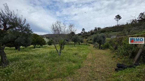 Quinta São Vicente da Beira com umas vistas fantásticas com 7280m2