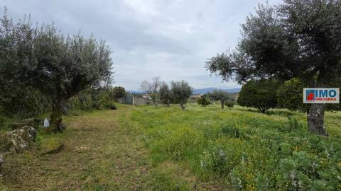 Quinta São Vicente da Beira com umas vistas fantásticas com 7280m2