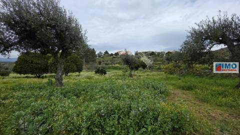 Quinta São Vicente da Beira com umas vistas fantásticas com 7280m2