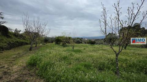 Quinta São Vicente da Beira com umas vistas fantásticas com 7280m2