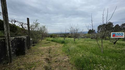 Quinta São Vicente da Beira com umas vistas fantásticas com 7280m2