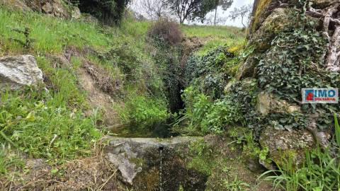 Quinta São Vicente da Beira com umas vistas fantásticas com 7280m2