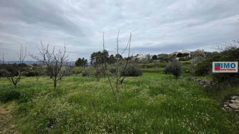 Quinta São Vicente da Beira com umas vistas fantásticas com 7280m2