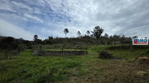 Quinta São Vicente da Beira com umas vistas fantásticas com 7280m2