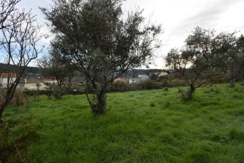Terreno p/ Investimento – Unhais da Serra - Possível Construção de 6 Moradias