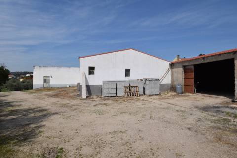 Armazém / Lagar de Azeite - Bendada - Sabugal