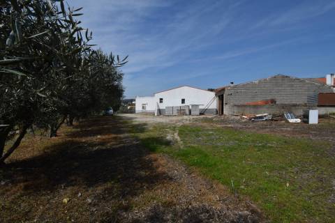 Armazém / Lagar de Azeite - Bendada - Sabugal