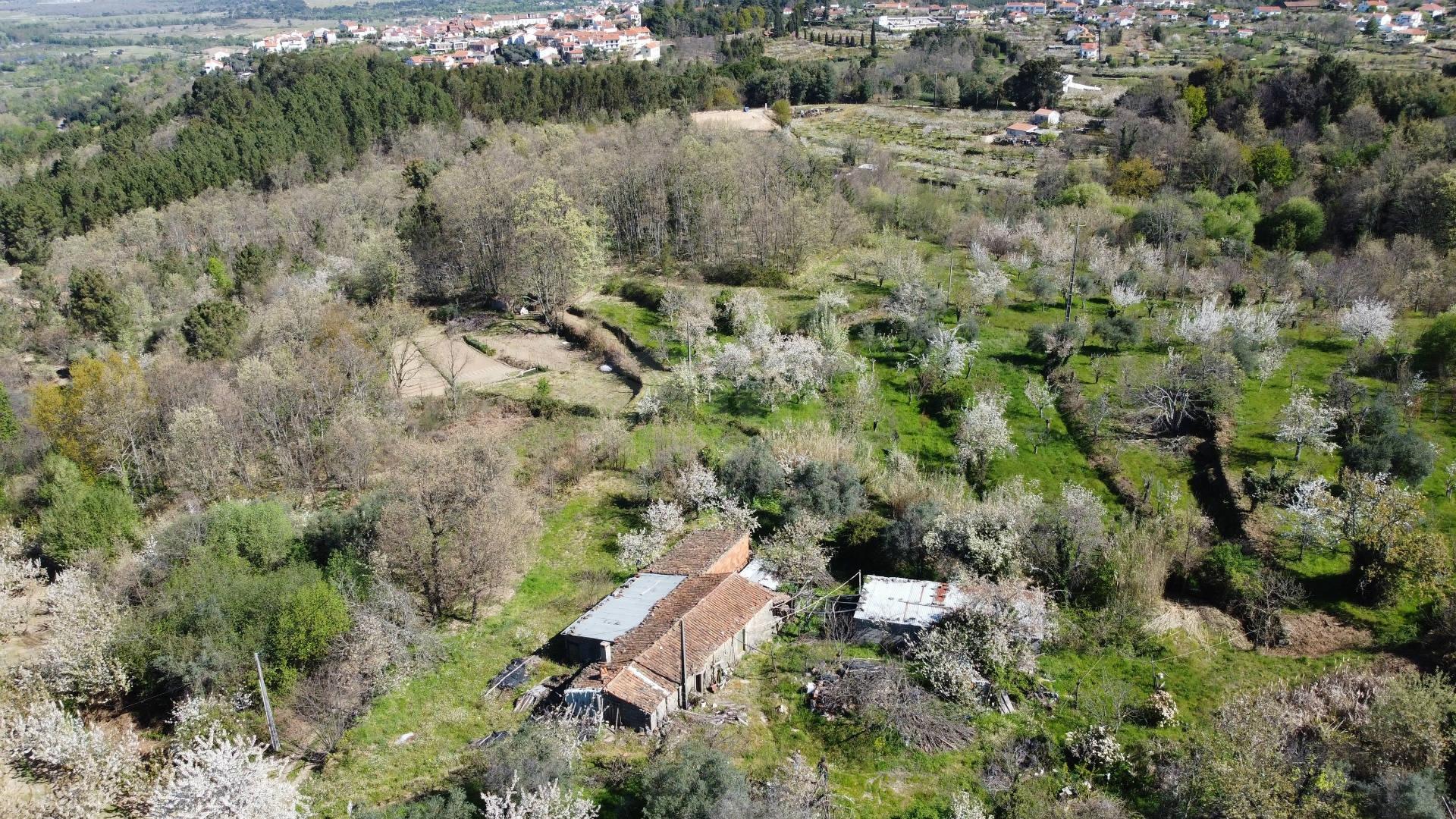 Quinta c/ 5,5 ha - Alcaide - Fundão