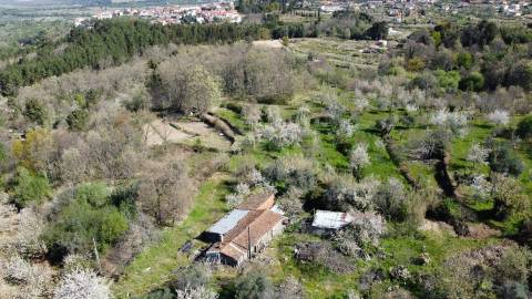 Quinta c/ 5,5 ha - Alcaide - Fundão