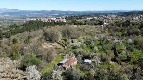 Quinta c/ 5,5 ha - Alcaide - Fundão