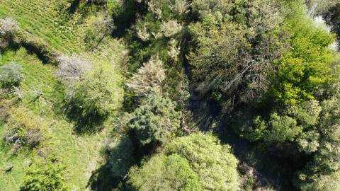 Quinta c/ 5,5 ha - Alcaide - Fundão