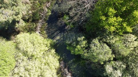 Quinta c/ 5,5 ha - Alcaide - Fundão