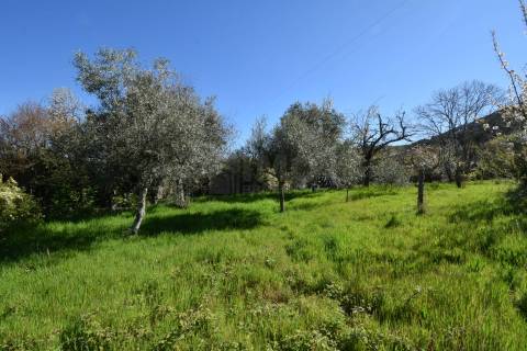 Quinta c/ 5,5 ha - Alcaide - Fundão