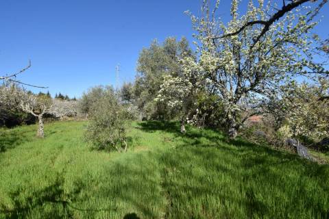 Quinta c/ 5,5 ha - Alcaide - Fundão