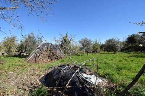 Quinta c/ 5,5 ha - Alcaide - Fundão