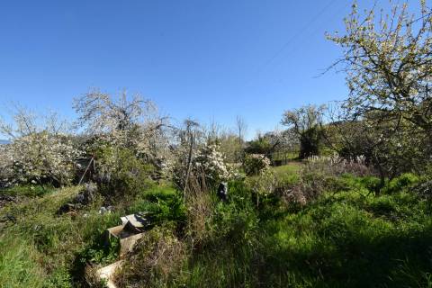 Quinta c/ 5,5 ha - Alcaide - Fundão