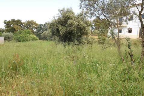 Terreno  Urbanizável – 9.900 m² | Dominguizo, Covilhã