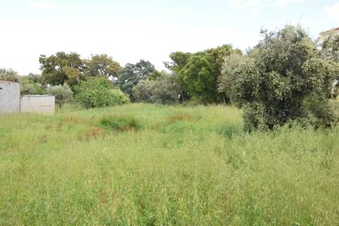 Terreno  Urbanizável – 9.900 m² | Dominguizo, Covilhã
