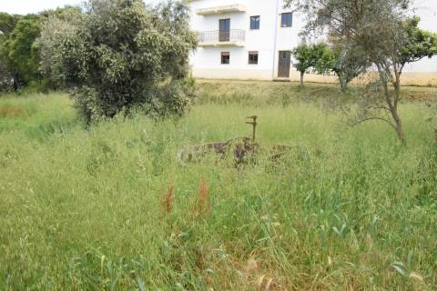 Terreno  Urbanizável – 9.900 m² | Dominguizo, Covilhã