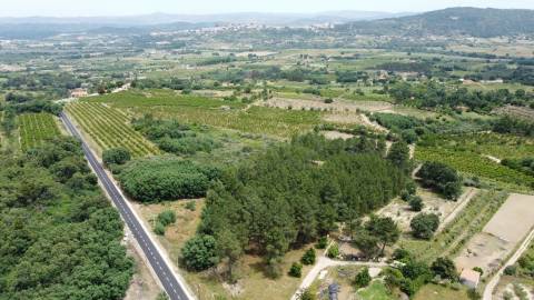 Terreno Rústico c/ 5.629 m² em Aldeia do Souto – Covilhã