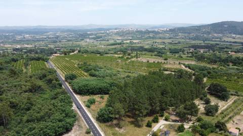 Terreno Rústico c/ 5.629 m² em Aldeia do Souto – Covilhã