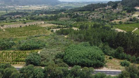 Terreno Rústico c/ 5.629 m² em Aldeia do Souto – Covilhã