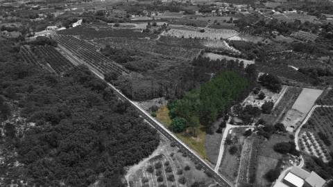 Terreno Rústico c/ 5.629 m² em Aldeia do Souto – Covilhã