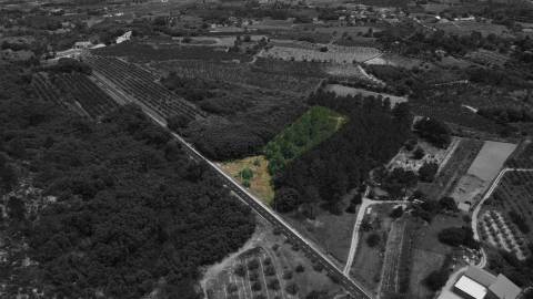 Terreno Rústico c/ 5.629 m² em Aldeia do Souto – Covilhã