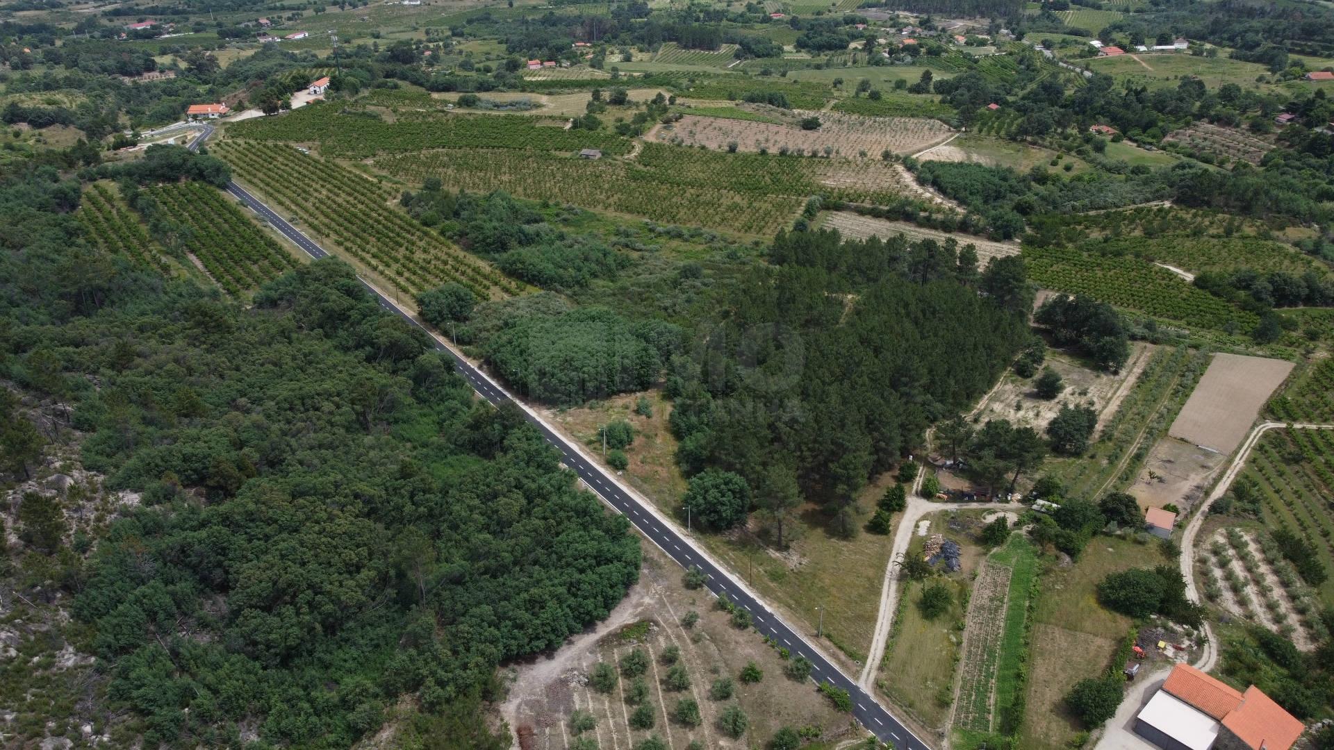 Terreno Rústico c/ 8.331 m² em Aldeia do Souto – Covilhã