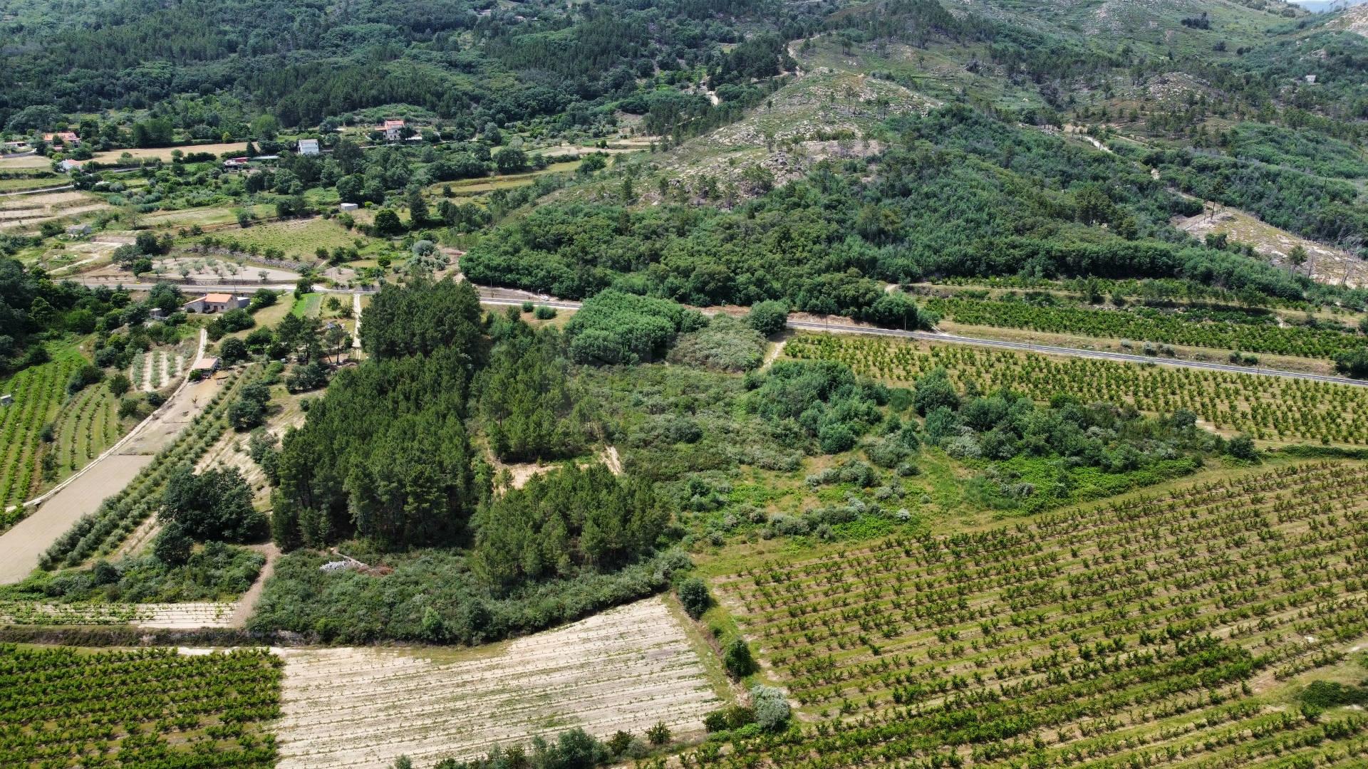 Terreno Rústico c/ 8.331 m² em Aldeia do Souto – Covilhã