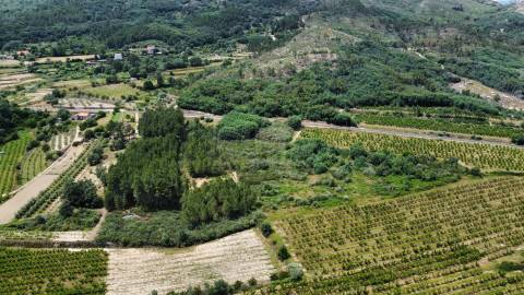 Terreno Rústico c/ 8.331 m² em Aldeia do Souto – Covilhã