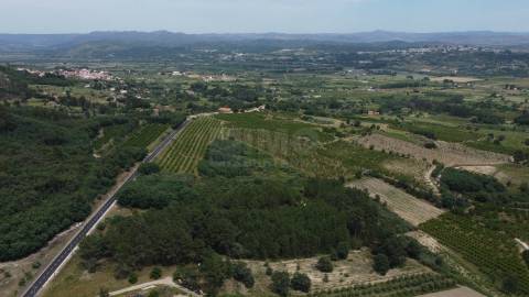 Terreno Rústico c/ 8.331 m² em Aldeia do Souto – Covilhã